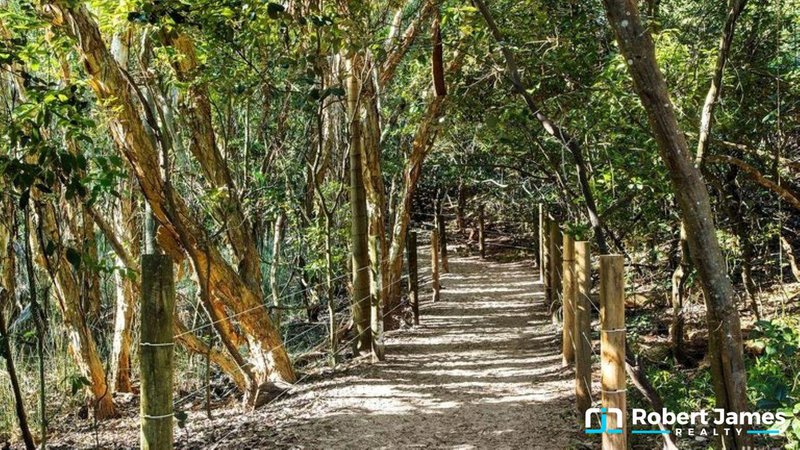 Photo - 10 Spinnaker Drive, Mount Coolum QLD 4573 - Image 22