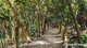 Photo - 10 Spinnaker Drive, Mount Coolum QLD 4573 - Image 22