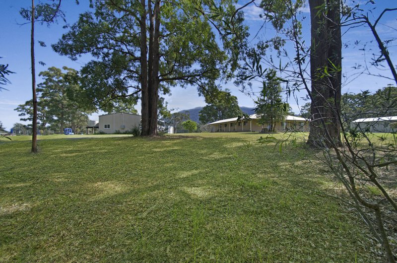 Photo - 10 Stewarts River Road, Johns River NSW 2443 - Image 4