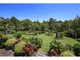 Photo - 10 Strong Court, Montville QLD 4560 - Image 11