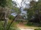 Photo - 10 Tassel Place, Denmark WA 6333 - Image 5