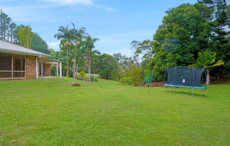 Photo - 10 Tolhurst Court, Tallai QLD 4213 - Image 4