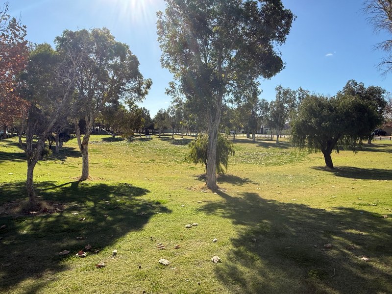 Photo - 10 Verin Lane, Port Kennedy WA 6172 - Image 15