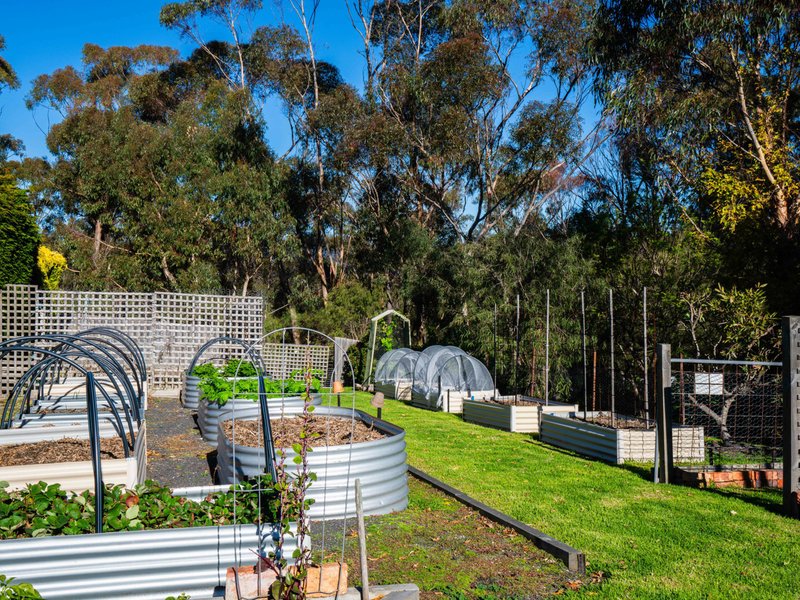 Photo - 10 View Street, St Helens TAS 7216 - Image 24