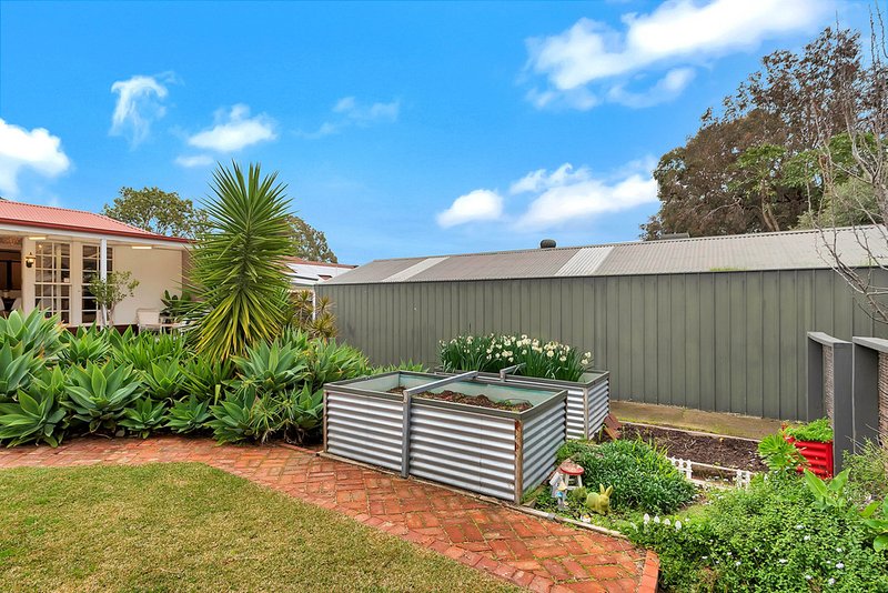 Photo - 10 Walsh Street, Vista SA 5091 - Image 25