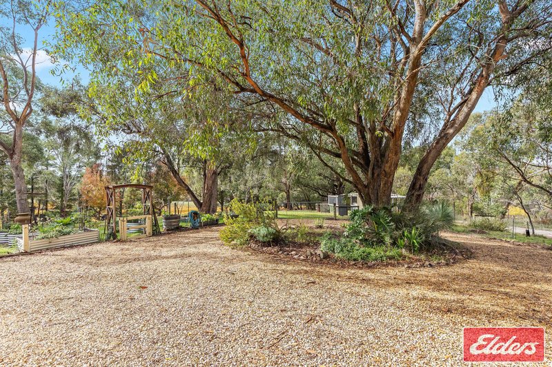 Photo - 10 Walter Randall Glen, Pewsey Vale SA 5351 - Image 31