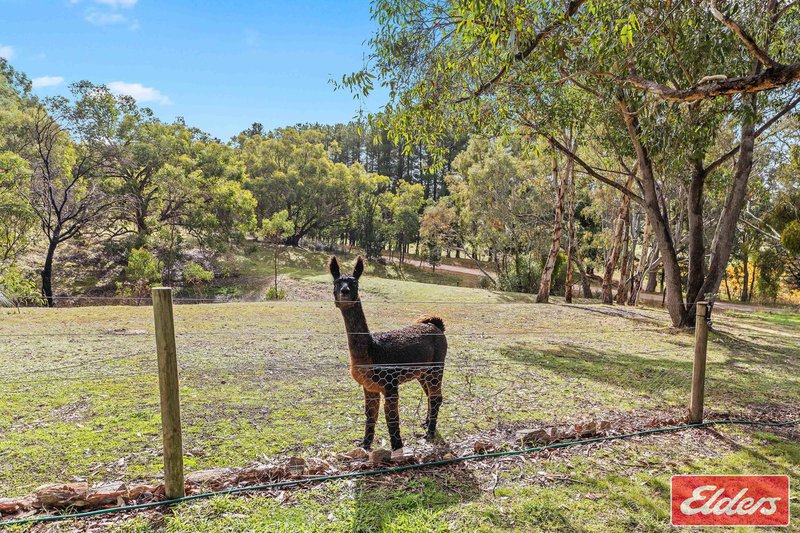 Photo - 10 Walter Randall Glen, Pewsey Vale SA 5351 - Image 33