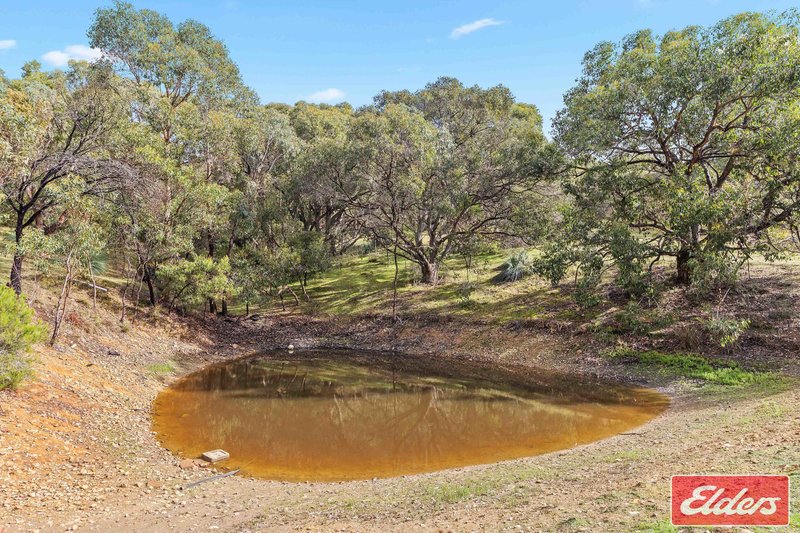 Photo - 10 Walter Randall Glen, Pewsey Vale SA 5351 - Image 34