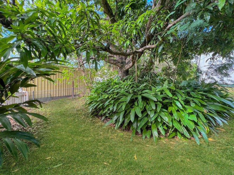 Photo - 10 Whittaker Street, North Ipswich QLD 4305 - Image 14