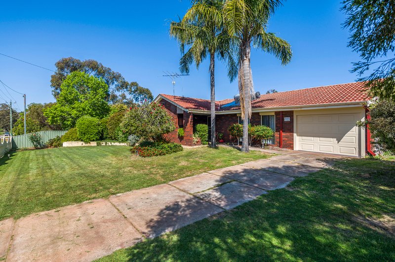 Photo - 10 Willcox Street, Chidlow WA 6556 - Image 34