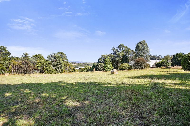 Photo - 10 Willis Road, Hoddles Creek VIC 3139 - Image 4