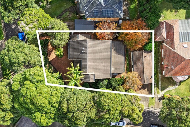 Photo - 10 Wollombi Road, Northbridge NSW 2063 - Image 3