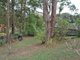 Photo - 10 Woodswallow Close, Boambee East NSW 2452 - Image 4