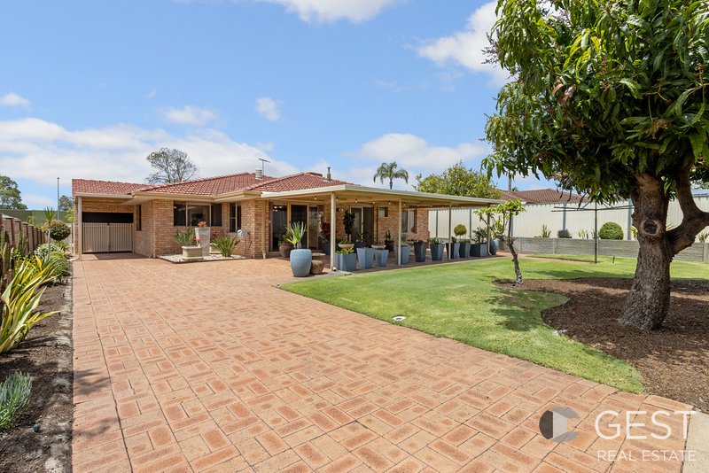 Photo - 100 Alfreda Avenue, Noranda WA 6062 - Image 34