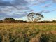 Photo - 100 Appleton Road, Moorlands SA 5301 - Image 1