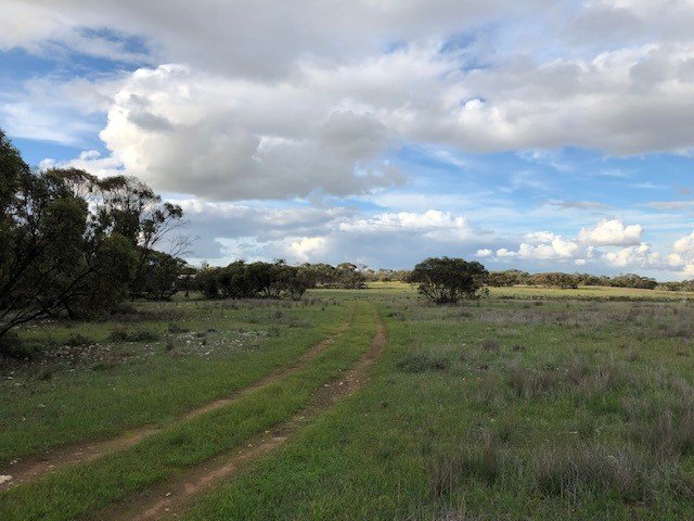 Photo - 100 Appleton Road, Moorlands SA 5301 - Image 5