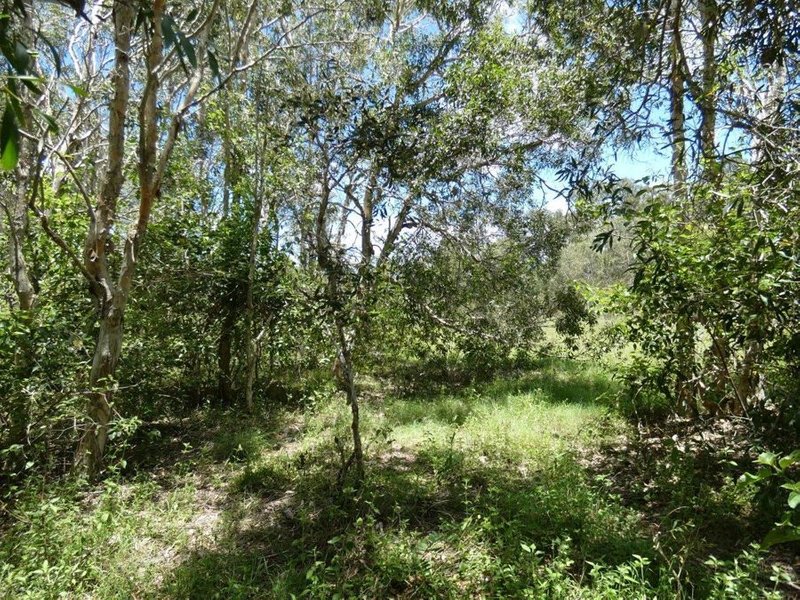 Photo - 100 Blackmans Gap Road, Miriam Vale QLD 4677 - Image 9