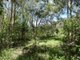 Photo - 100 Blackmans Gap Road, Miriam Vale QLD 4677 - Image 9