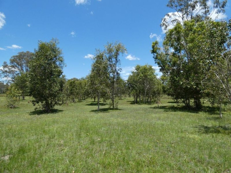 Photo - 100 Blackmans Gap Road, Miriam Vale QLD 4677 - Image 20