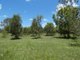 Photo - 100 Blackmans Gap Road, Miriam Vale QLD 4677 - Image 20