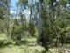 Photo - 100 Blackmans Gap Road, Miriam Vale QLD 4677 - Image 22