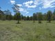 Photo - 100 Blackmans Gap Road, Miriam Vale QLD 4677 - Image 23