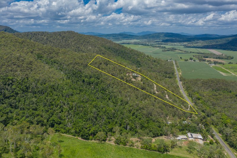 Photo - 100 Brandy Creek Road, Brandy Creek QLD 4800 - Image 21