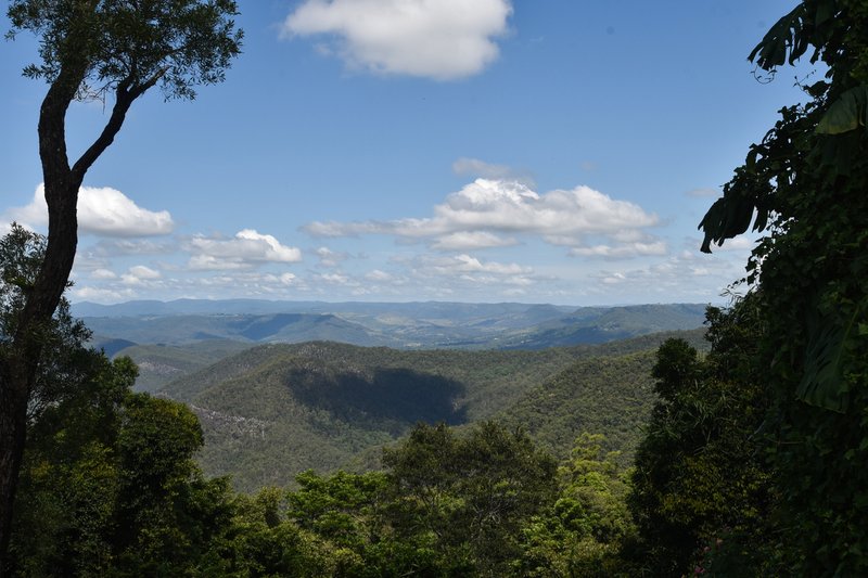 Photo - 100 Coomera Gorge Drive, Tamborine Mountain QLD 4272 - Image 17