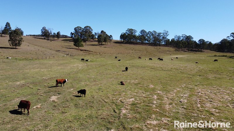 Photo - 100 Dyraaba Road, Piora NSW 2470 - Image 8