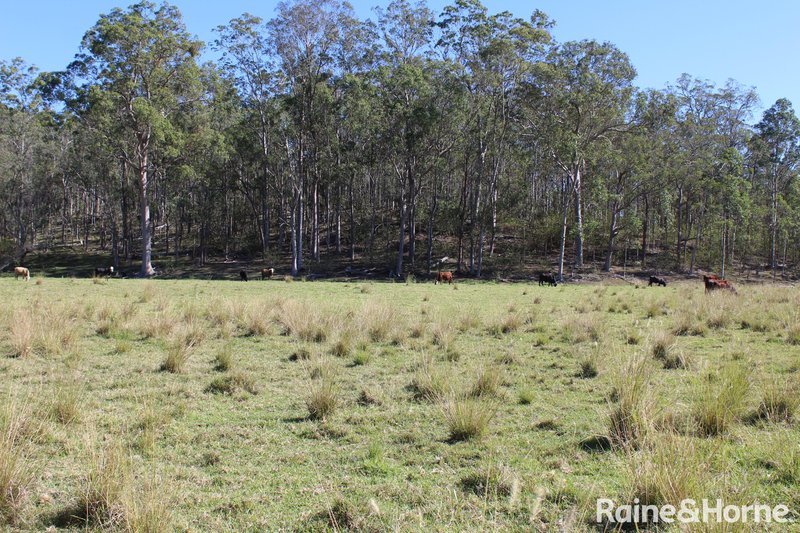 Photo - 100 Dyraaba Road, Piora NSW 2470 - Image 25