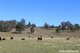 Photo - 100 Dyraaba Road, Piora NSW 2470 - Image 30