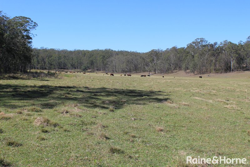 Photo - 100 Dyraaba Road, Piora NSW 2470 - Image 33