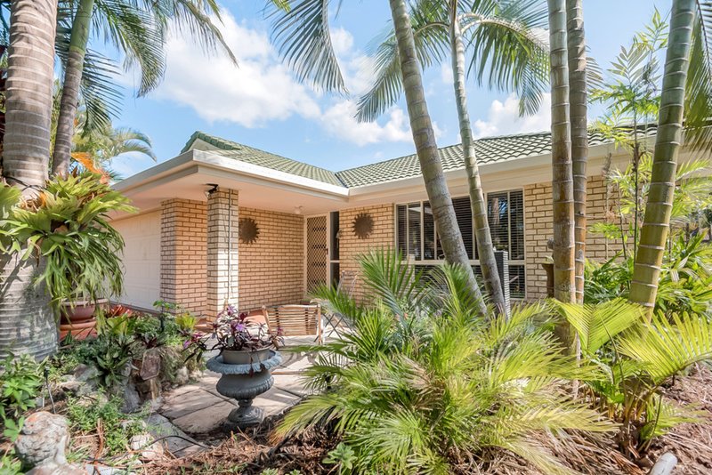 Photo - 100 Furness Drive, Tewantin QLD 4565 - Image 2