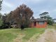 Photo - 100 Homestead Road, Orchard Hills NSW 2748 - Image 1