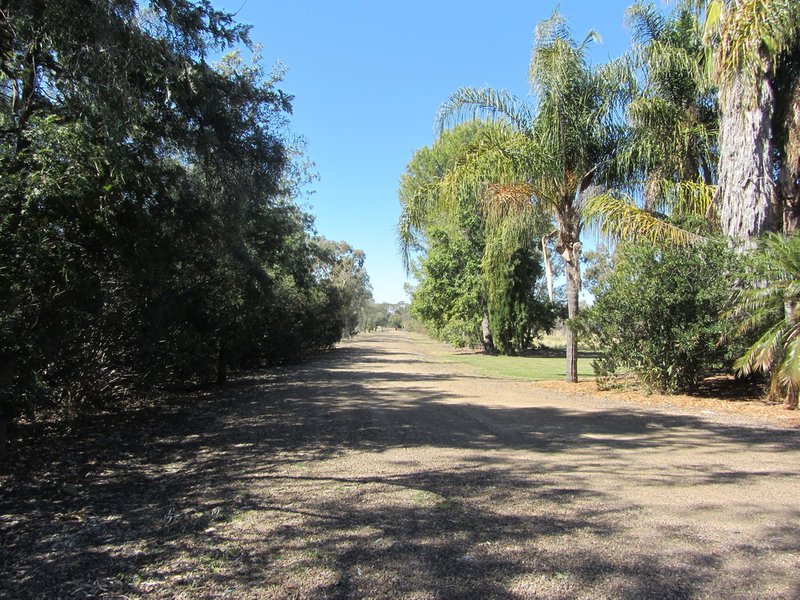 Photo - 100 Kooroogamma Road, Moree NSW 2400 - Image 5