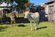Photo - 100 Maudsland Road, Oxenford QLD 4210 - Image 10