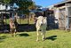 Photo - 100 Maudsland Road, Oxenford QLD 4210 - Image 11