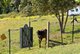 Photo - 100 Maudsland Road, Oxenford QLD 4210 - Image 12