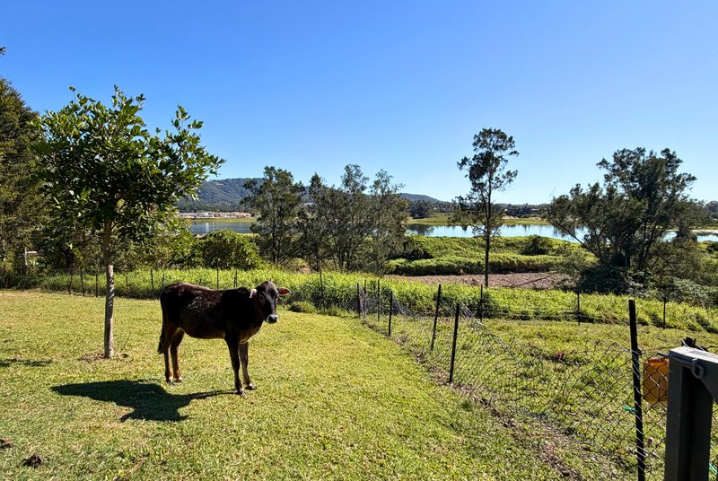 Photo - 100 Maudsland Road, Oxenford QLD 4210 - Image 13