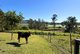Photo - 100 Maudsland Road, Oxenford QLD 4210 - Image 13