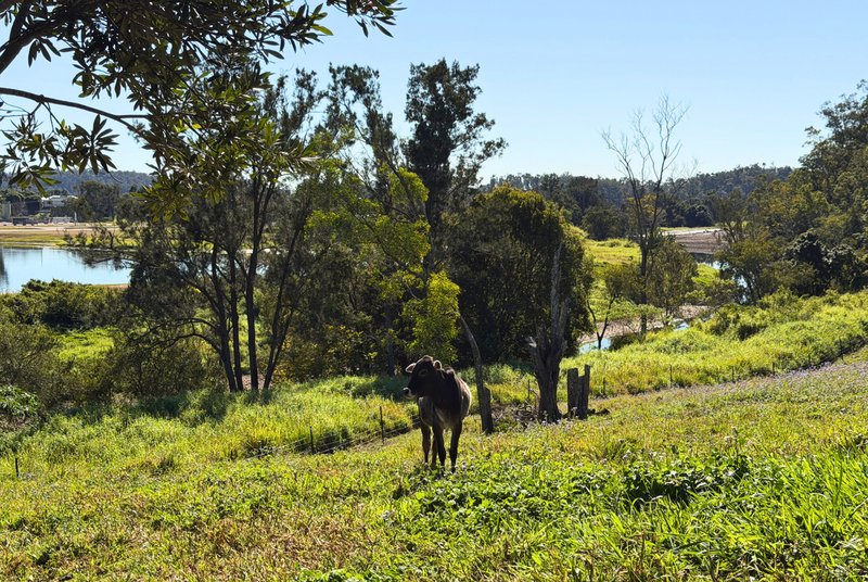 Photo - 100 Maudsland Road, Oxenford QLD 4210 - Image 14