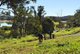 Photo - 100 Maudsland Road, Oxenford QLD 4210 - Image 14
