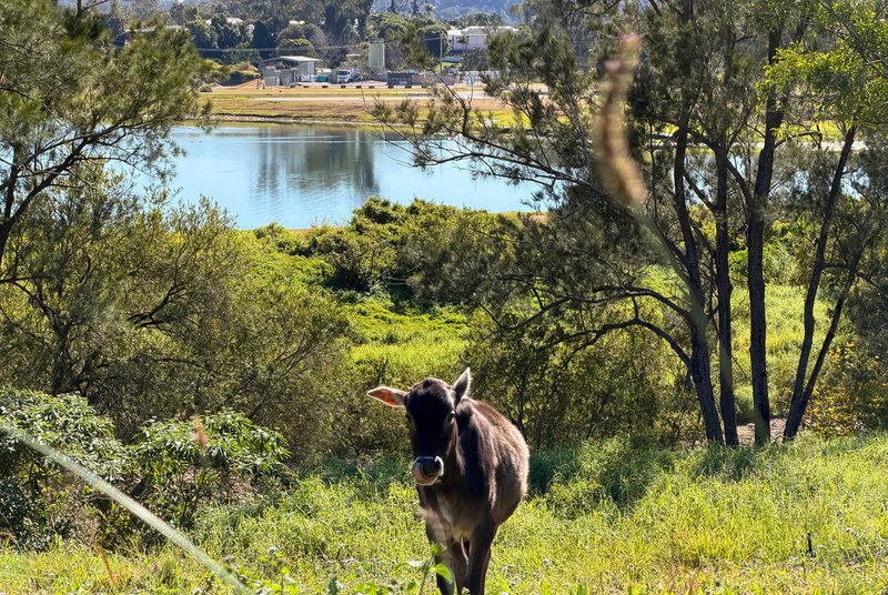 Photo - 100 Maudsland Road, Oxenford QLD 4210 - Image 15