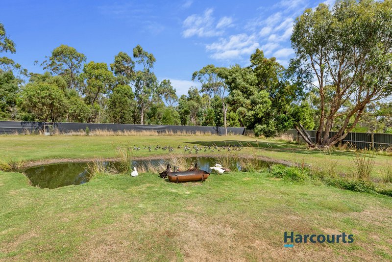 Photo - 100 Milldam Road, Port Sorell TAS 7307 - Image 14