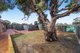 Photo - 100 Peaceful Waters Drive, Barragup WA 6209 - Image 26