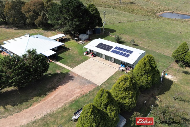 Photo - 100 Pitlochry Road, Neville NSW 2799 - Image 8