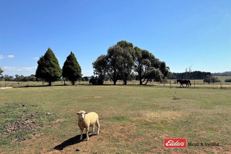 Photo - 100 Pitlochry Road, Neville NSW 2799 - Image 10