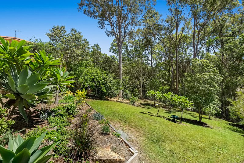 Photo - 100 Plucks Road, Arana Hills QLD 4054 - Image 4