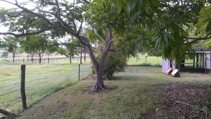 Photo - 100 Potters Road, Wooderson QLD 4680 - Image 18