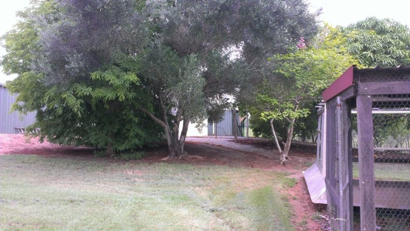 Photo - 100 Potters Road, Wooderson QLD 4680 - Image 21